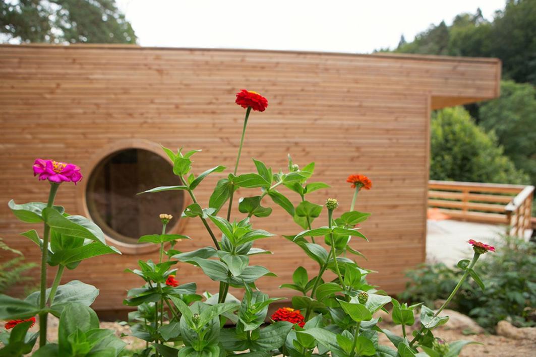 La Roche Aux Fees Bed and Breakfast Lapte Εξωτερικό φωτογραφία